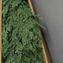 7.5FT Prelit Christmas Tree with 350 LED Lights, App Controlled Artificial Christmas Tree with Multi-Color RGB Lights & Music Sync, Slim Pencil Christmas Tree for Home Christmas Decorations