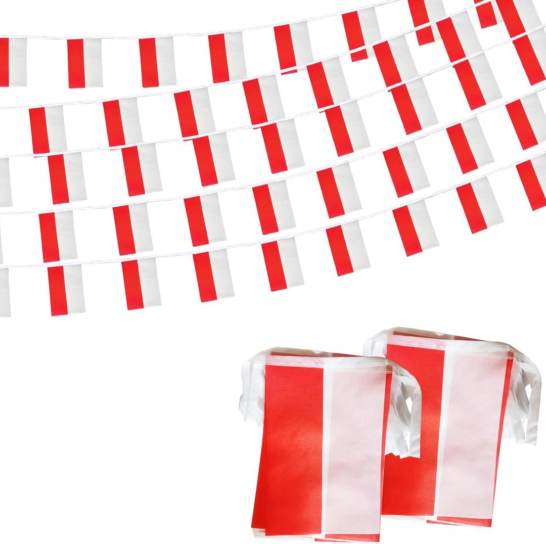 Indonesia Indonesian String Flag Pennant Banner, Small Mini Indonesia Indonesian Bunting Banner National Country Decoration for School, Party, Patriotic Festival, 66 Feet 60 Flags