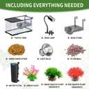 (Tank + Light + Filter + Filter Balls) Turtle Tank Kit, Turtle Tank Starter Kit,Bottom Drainage, Multi-Function Areas for Turtles, Crabs,Fishes, Amphibians,Reptiles. (21.65 12.28 12.28 Inch)