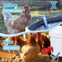 (6 Pack) Upgraded Large Detachable Automatic Chicken Waterer Cups,Reinforced Professional Poultry Waterer for Chickens,Ducks,Turkeys,Goose,with Drill Bits. (Red)