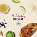 The Honest Kitchen Human Grade Dog Treats Jerky Harvest Mini Bars: Chicken Recipe With Apples & Blueberries, 4 oz Bag (1 Count (Pack of 1))