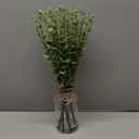 VIERENA 17.5" Artificial Eucalyptus Stems in Glass Vase with Faux Water,Fake Plant Eucalyptus Leaves White Seeds for Centerpiece Table Decorations Farmhouse Wedding Home Greenery Decor (Sage Green)