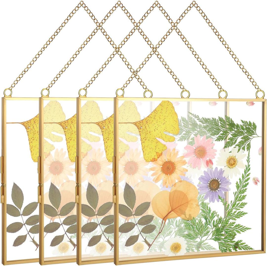 Treela Pressed Flowers Glass Frames 6 x 6 Inch, Hanging Double Glass Picture Frame Clear Square Floating Frames with Chains Graduation Wedding Gift for Dried Plant Specimen Gallery(Gold,4 Pieces)