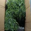 2pcs Chillchard Two 5ft Artificial Plants Topairy Faux Cedar Trees for Outdoor Planters, 60IN Tall Fake Pine Bushes UV Resistant Large Potted Shrubs for Front Porch Dcor