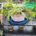 Fzfeiyy Ceramic Plant Saucer Pot Tray 14.5 Inch, Blue Planter Saucers 5 7 9 10 12 15 Inch for Indoors Outdoor, Flower Pot Saucers for Holding Water Drips and Soil