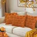 Pumpkin Fall Decorative Throw Pillow Covers 18"x18", Set of 2 Orange Soft Faux Fur Pillow Covers for Autumn Harvest, Fluffy Plush Accent Pillow Cases for Farmhouse Couch Cushion Covers