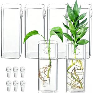 6 Pcs Glass Wall Mounted Planters, Hanging Glass Tubes Flower Vase, Wall Vase for Plants Indoor, Propagation Wall Planter Container for Hydroponics Plants, Garden Wedding Decor