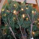 National Tree Company 7.5ft Pre-Lit Carolina Pine Artificial Christmas Tree
750 Clear Lights, 1,399 Tips, Includes Stand, Green