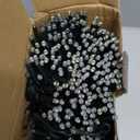 BrizLabs Christmas Lights App & Voice Control, 180ft 500 LED Color Changing Smart Christmas Fairy String Lights, Cool White & Colored Outdoor Mini Tree Light String for Indoor Outside Xmas Decor