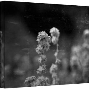 Art Wall Puff Wrapped Canvas Art by Mark Ross, 14 by 18-Inch