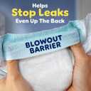 Pampers ZZZ Overnight Diapers, Size 7 (41+ lbs), 36 Count, Nighttime Protection Disposable Baby Diaper, Night Time Leak and Skin Protection