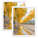Golden State Art 16x20 White Picture Frame,Solid Wood&Real Glass,Fit 16x20