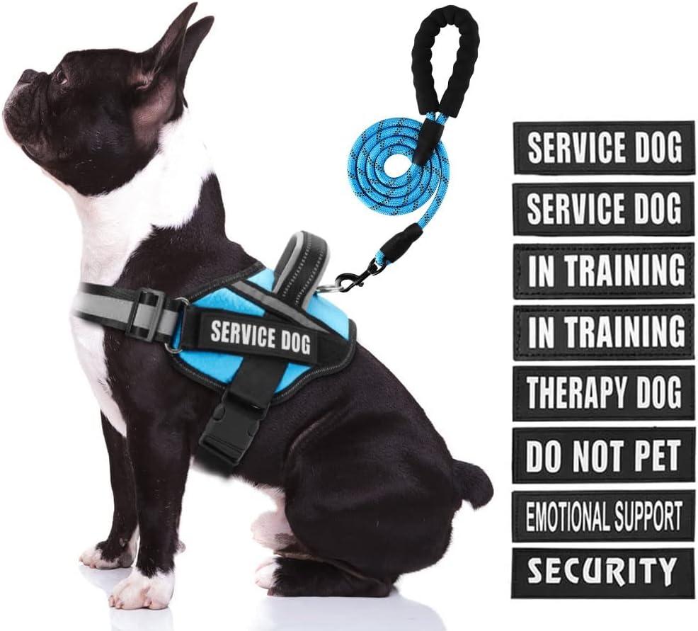 Service Dog Harness (Medium, Light Blue) with Reflective Strips, Leash, and 10 Patches, for Dog Training and Walking