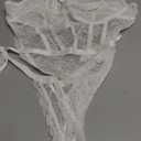 Avidlove Women Teddy Lingerie Deep V Lace Bodysuit Lingerie One Piece Mini Babydoll Satiny Side Bow M