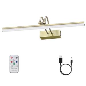 RAIFOOLLY Picture Light, Picture Lights for Wall Cordless,16" Picture Lights with Timer and Dimmable,Battery Wall Lights for Display Gallery Painting Art Frame Portrait-AB