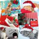 Fancy Land Kitten Christmas Cards Assortment Holiday Greeting Card with Envelopes 24Pcs