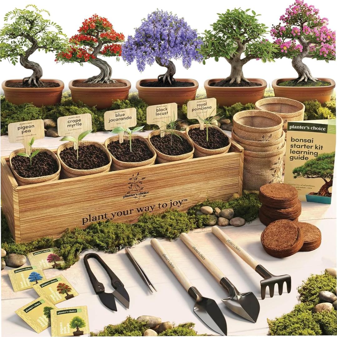Planter's Choice Bonsai Tree Starter Kit - Unique Easter Gifts for Women, Men - Birthday Gifts for Adults - Indoor Live House Plants - DIY for Adults Craft Kits - Hobby Gift Gardening Lovers