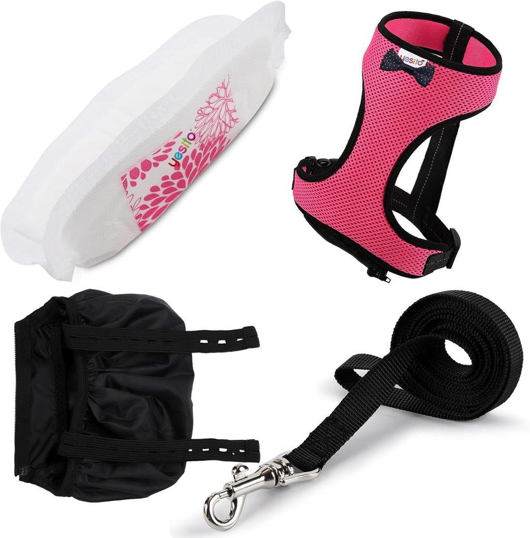 Adjustable Chicken Harness & Diaper with 5.4ft Leash | Escape-Proof Breathable Mesh | Outdoor Walking Training for Hens Ducks & Chicks | Stop Droppings & Feather Mess (Small, Pink)