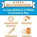 ThunderEase Dog Calming Pheromone Diffuser Refill | Powered by ADAPTIL | Vet Recommended to Relieve Separation Anxiety, Stress Barking and Chewing, and The Fear of Fireworks and Thunderstorms (60 Day