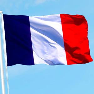 AMZFLAG French Flag 3X5 ft Heavy Duty France Flags for Outdoor Flag of France with 2 Brass Grommets Thick Material