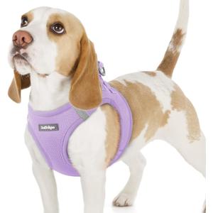 rabbitgoo Small Dog Harness, Step-in Soft Mesh Puppy Vest with Safety Buckle, Breathable Reflective Pet Harness for Small Sized Dogs, Light Purple M (M(Chest:16.0"-18.5"))