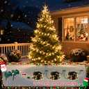 Meonum Chasing Christmas Lights, 8 Function Controller Clear Mini Bulbs Green Wire Indoor String Lights, 71 Feet Long Holiday Decor, for Christmas Tree(Multicolor,150 Bulbs)