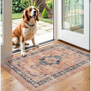 Washable 3×6 Area Rug: Vintage Indoor Soft Non Slip Door Mat Stain Resistant Carpet for Bedroom Living Room Light Weight Floor Mat for Kitchen Bathroom - Perfect for Homes with Pets (3×6,Orange)