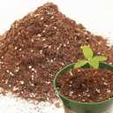 3QT Potting Soil Mix for Indoor Plants - Contains Perlite, Peat Moss, Coco Coir & Rice Charcoal, Natural & Organic Material with Well-Draining, Light & Aerated Texture for Healthy Roots & Fast Growth