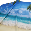 Baocicco 20x10ft Beach Photography Background Wedding Photoshoot Bride to Be Party Photographer Studio Props