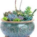 Ceramic Plant Pot with Drainage Hole and Tray, Succulent Holder, Bonsai, Flower Vase, Garden Decorative for Snake Plant, Aloe, Oxalis
