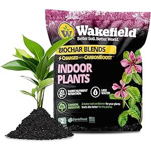2 Pack Wakefield Biochar - Potting and Floor Mix for Indoor Plants, Indoor Plants with CarbonBoost Technology - Organic Compost, Pine Bark, Worm Castings, Dirt (2 QT)