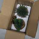 Briful Small Artificial Succulents in Pots Set of 2 Realistic Faux Succulents Plants with Silver Ceramic Pots Cute Mini Fake Plants Decor for Modern Home Table Office Desk Bathroom Shelf Decoration (Style #03)