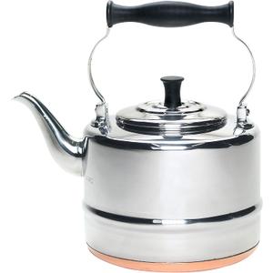 BonJour Tea Stainless Steel and Copper-Base Gooseneck Teapot / Teakettle, 2-Quart