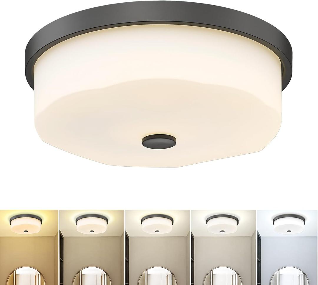 25W LED Flush Mount Ceiling Light with Remote Control, 16'' Modern Ceiling Light Fixture, Milk Glass 3000K-6500K 5CCT Ceiling Light Fixture for Bedroom Kitchen Dining Room Hallway Entryway (No.10F)
