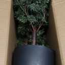 3FT Real Touch Cedar Topiary Trees for Front Porch Decor, Artificial Shrubs Faux Plants Potted UV Resistant Fake Greenery for Outdoor Indoor Door Garden Farmhouse Home Decoration (Set of 2)