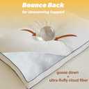 Goose Down Fiber Pillows, Gusseted Pillows Queen Size Set of 2, Queen 18*28