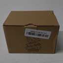 12 Pack Star Fairy Lights