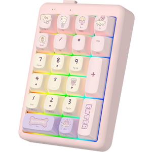 Number Pad, 21Keys Hot Swappable Numpad, Bluetooth5.0/2.4G/Type-C Wireless Numeric Keypad, Rechargeable Number keypad, RGB Gasket Structure Mechanical Keyboard with PBT Keycap for PC Laptop Notebook