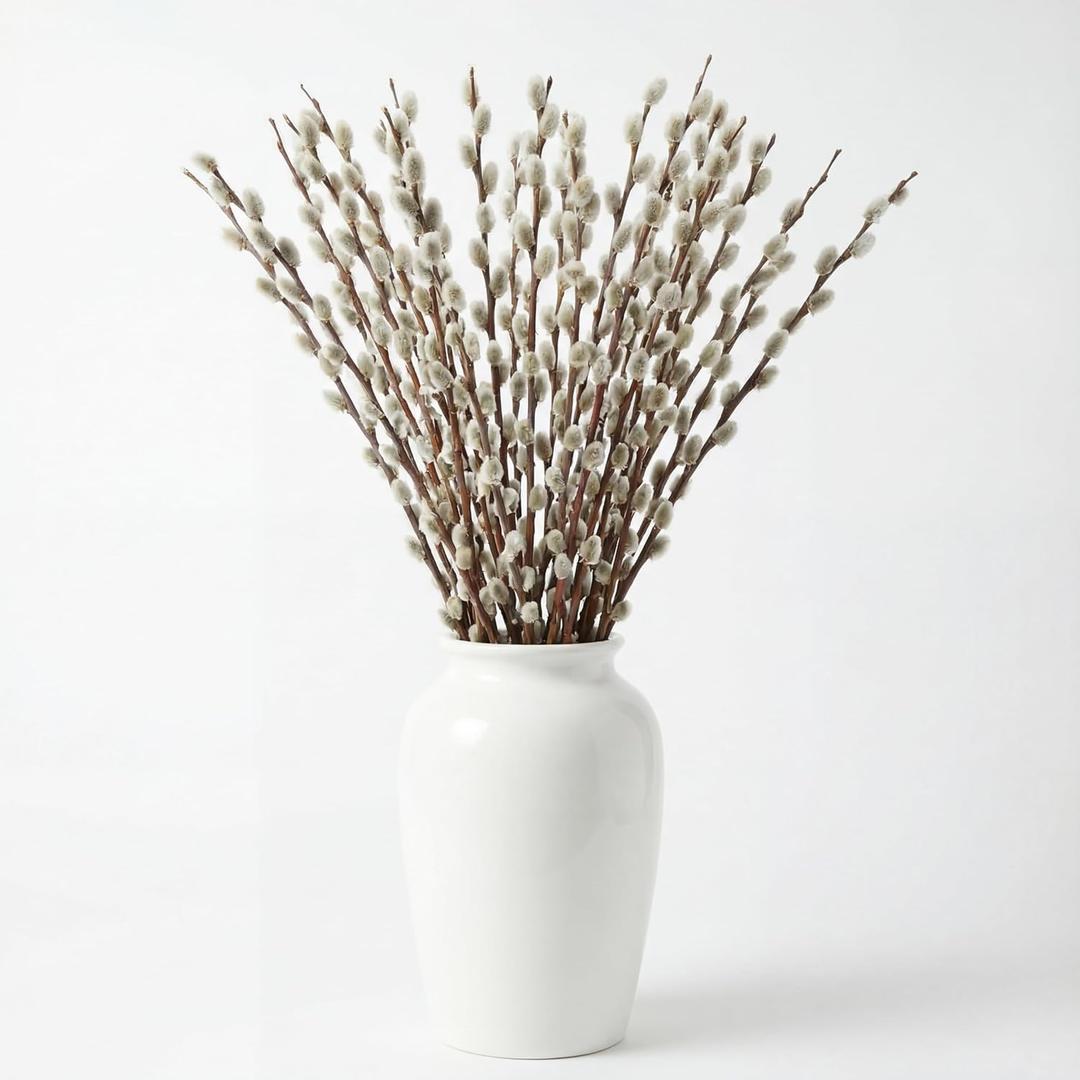 Thiccywoov 40 Stems 31.5'' Real Dried Pussy Willow Branches for Vases 100% Natural Tall Snow Pussy Willows with White Flowers Live Plant for Wedding Home Hotel Fireplace Yard Decor