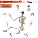 KANKUN 5 FT Halloween Skeleton, Full Body Stayable Movable Joints, Posable Hanging Skeletons for Halloween Decoration
