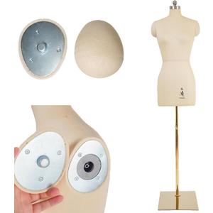Female Dress Model Torso Body Clothing Forms,Sewing Mannequin Foam Body for Pinning.Height Adjustable Stand. (Beige, 6)