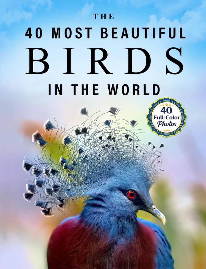 The 40 Most Beautiful Birds in the World: A full color picture book for Seniors with Alzheimer's or Dementia (Vibrant Wonders Picture Books) Paperback