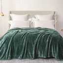 Exclusivo Mezcla Plush Fuzzy Fleece Bed Blanket Queen Size, Super Soft, Fluffy and Warm BlanketsSuitable for All Seasons (Celadon, 90x90 Inches)