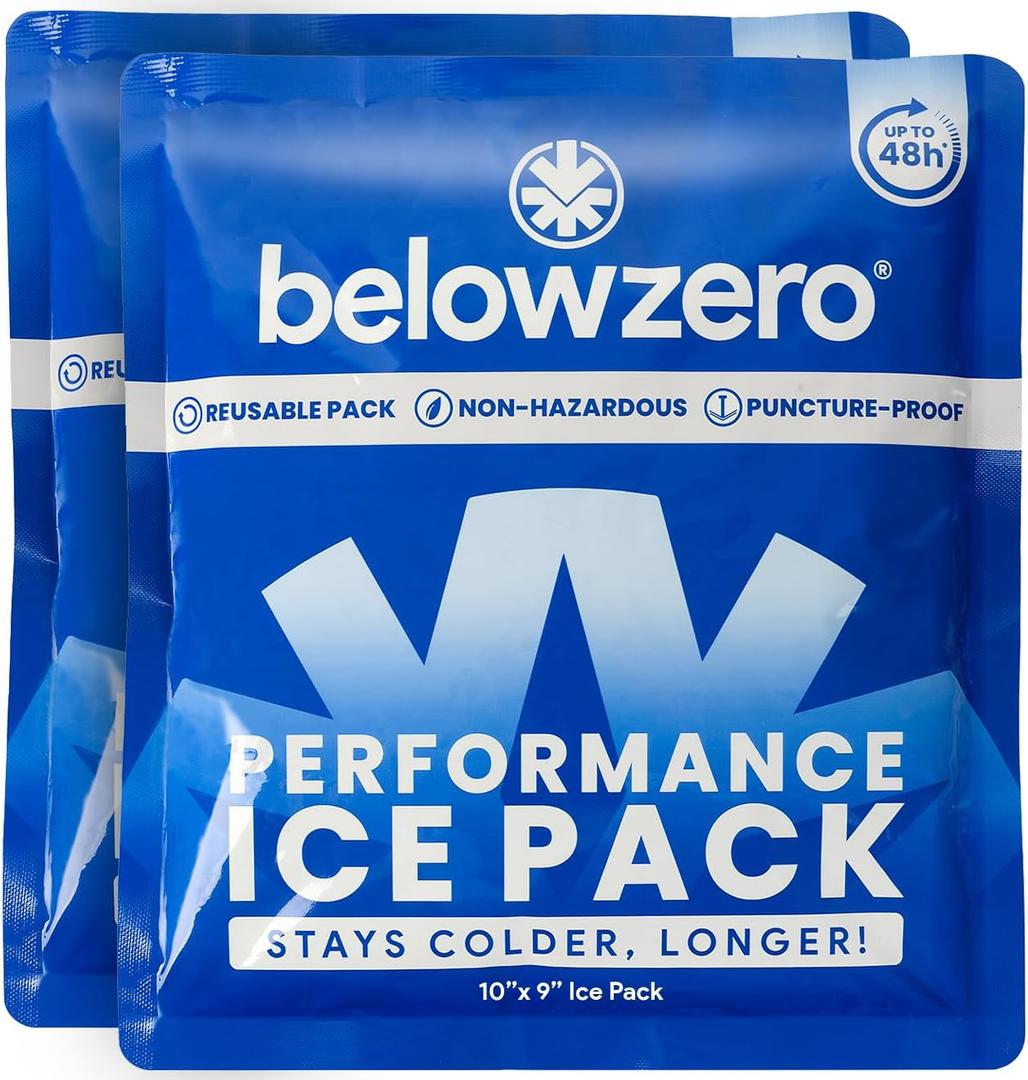Below Zero Prefilled Reusable 48-Hour Ice Packs, Medium 10"x9", 2 Pack