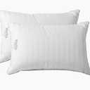 Martha Stewart Hotel Collection Bed Pillows 100% Cotton 500 Thread Count Damask Stripe Embroidered King Size Set of 2