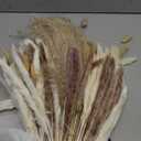 floradream  Natural Pampas Grass Decor Bouquet | Boho Dried Floral Arrangement Centerpiece Table Decor Wedding Decor Rustic Decor, Natural, white, beige (Fdm-b-01)