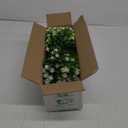 Artificial Flowers for Outdoors, 12 Bundles UV Resistant Realistic Faux Plants for Outside Porch Planter, Spring Summer Home Garden Decoration, White