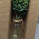 Zheart Fake Eucalyptus Stems in Glass Vase with Faux Water,14" Artificial Plants Eucalyptus Leaves for Shelf Desk Bathroom Farmhouse Room Coffee Table Home Decor (Sage Green)