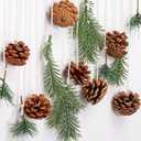15.7 Inch Winter Wall Hanging Decor Wooden Seasonal Pinecone Hanger for Door Winter Decor Artificial Greenery for Home Rustic Farmhouse Fireplace Mantel Indoor Outdoor