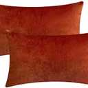 Rythome Set of 2 Comfortable Rectangular Velvet Throw Pillow Cases, Decorative Lumbar Cushion Covers for Sofa Couch and Bed - 12"x20", Rust